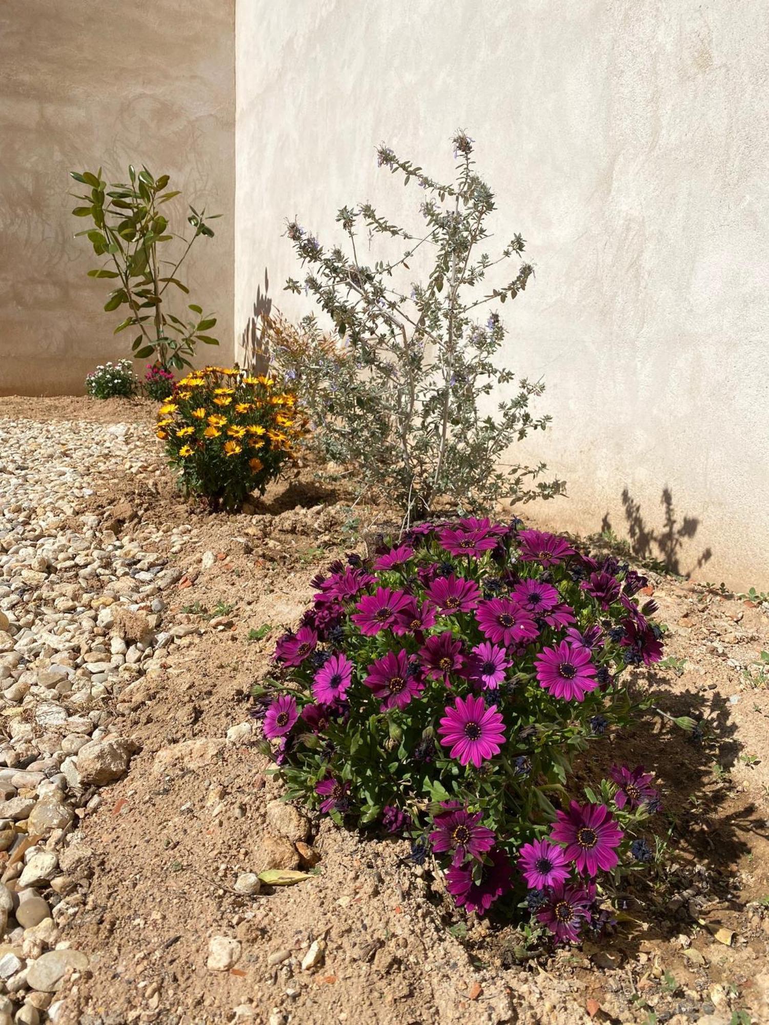 La Mancha Suites Casa Rural Pedro Muñoz Eksteriør billede